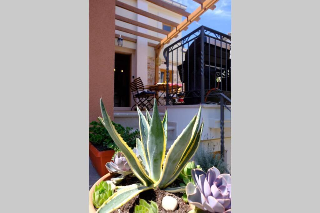 Villa La Corte Di Kate Biograd Na Moru